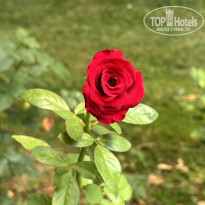 фото из отзыва ID 2648543