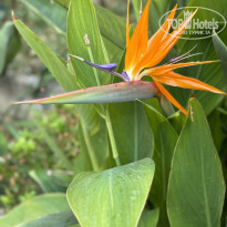 фото из отзыва ID 2648543