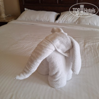 фото из отзыва ID 2648545