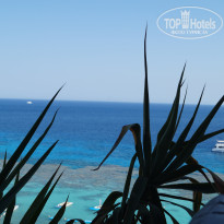 фото из отзыва ID 2648729