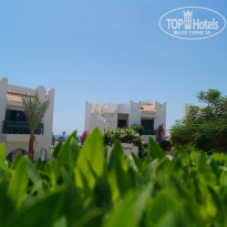 фото из отзыва ID 2648729