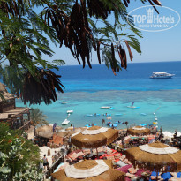 фото из отзыва ID 2648729