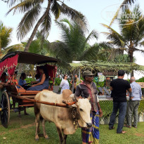 фото из отзыва ID 2648776