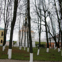 фото из отзыва ID 2645544