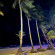 фото из отзыва ID 2648790