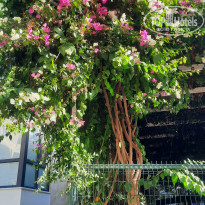 фото из отзыва ID 2647366