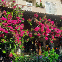 фото из отзыва ID 2647366