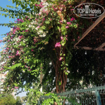 фото из отзыва ID 2647366