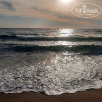 фото из отзыва ID 2647366