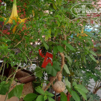 фото из отзыва ID 2647366