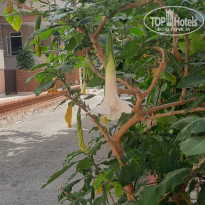 фото из отзыва ID 2647366