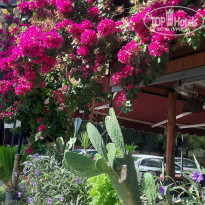 фото из отзыва ID 2647366