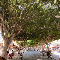 фото из отзыва ID 2648855