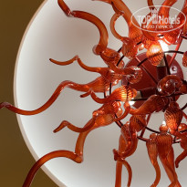 фото из отзыва ID 2648855