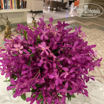фото из отзыва ID 2648873