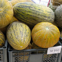 фото из отзыва ID 2648908