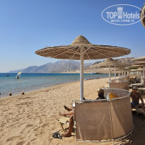 фото из отзыва ID 2648923