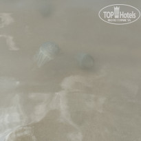 фото из отзыва ID 2648939