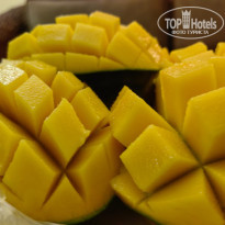 фото из отзыва ID 2648958