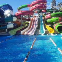 фото из отзыва ID 2648992