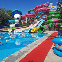 фото из отзыва ID 2648992