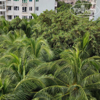 фото из отзыва ID 2649046