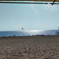 фото из отзыва ID 2649116