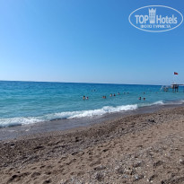 фото из отзыва ID 2649116