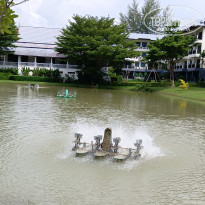 фото из отзыва ID 2649150