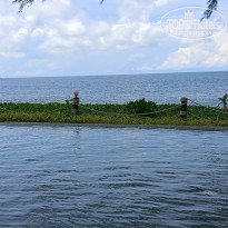 фото из отзыва ID 2649150