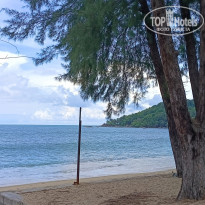 фото из отзыва ID 2649150