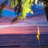 фото из отзыва ID 2649150