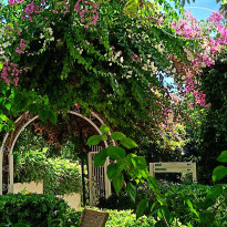 фото из отзыва ID 2649242