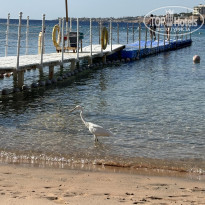 фото из отзыва ID 2649303