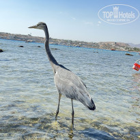 фото из отзыва ID 2649303