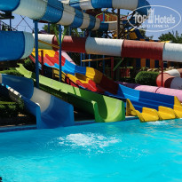 фото из отзыва ID 2649318