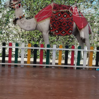 фото из отзыва ID 2649318