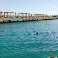 фото из отзыва ID 2649318