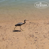 фото из отзыва ID 2649318