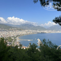 фото из отзыва ID 2649328