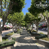 фото из отзыва ID 2649328