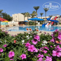 фото из отзыва ID 2649382