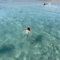 фото из отзыва ID 2649382