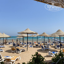 фото из отзыва ID 2649382