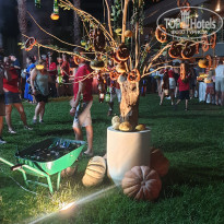 фото из отзыва ID 2649448