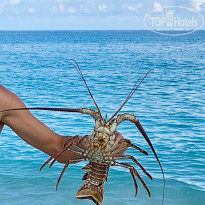 фото из отзыва ID 2649468