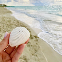 фото из отзыва ID 2649468