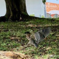 фото из отзыва ID 2649468