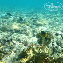 фото из отзыва ID 2649539