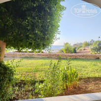 фото из отзыва ID 2649539